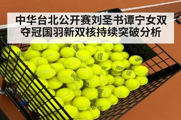 中华台北公开赛刘圣书谭宁女双夺冠国羽新双核持续突破分析 - jiuyou game
