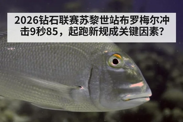 2026钻石联赛苏黎世站布罗梅尔冲击9秒85，起跑新规成关键因素？ - jiuyou game