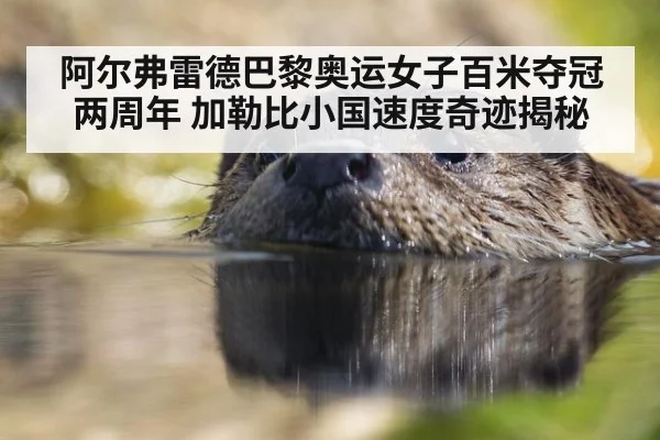 阿尔弗雷德巴黎奥运女子百米夺冠两周年 加勒比小国速度奇迹揭秘